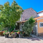 Stunning In Nedeščina