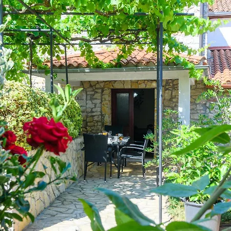 Stunning In Nedeščina