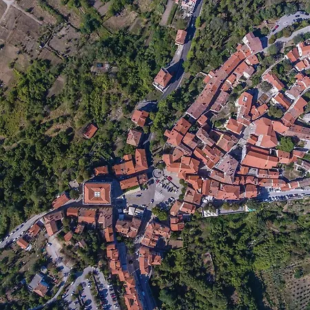 Stunning In Nedeščina